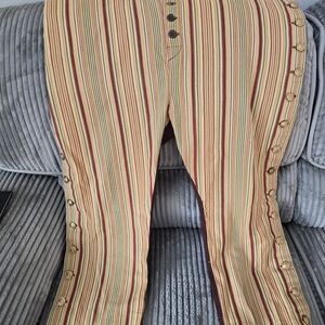Striped Multicolor Men's Pants